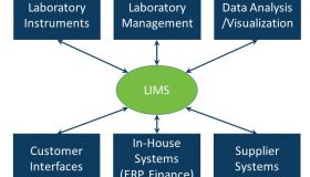 Laboratory information system diagram